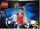 LEGO 30623